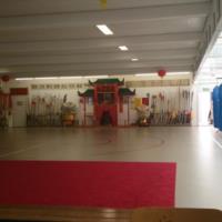 palestra 5