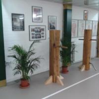 uomo di legno 2